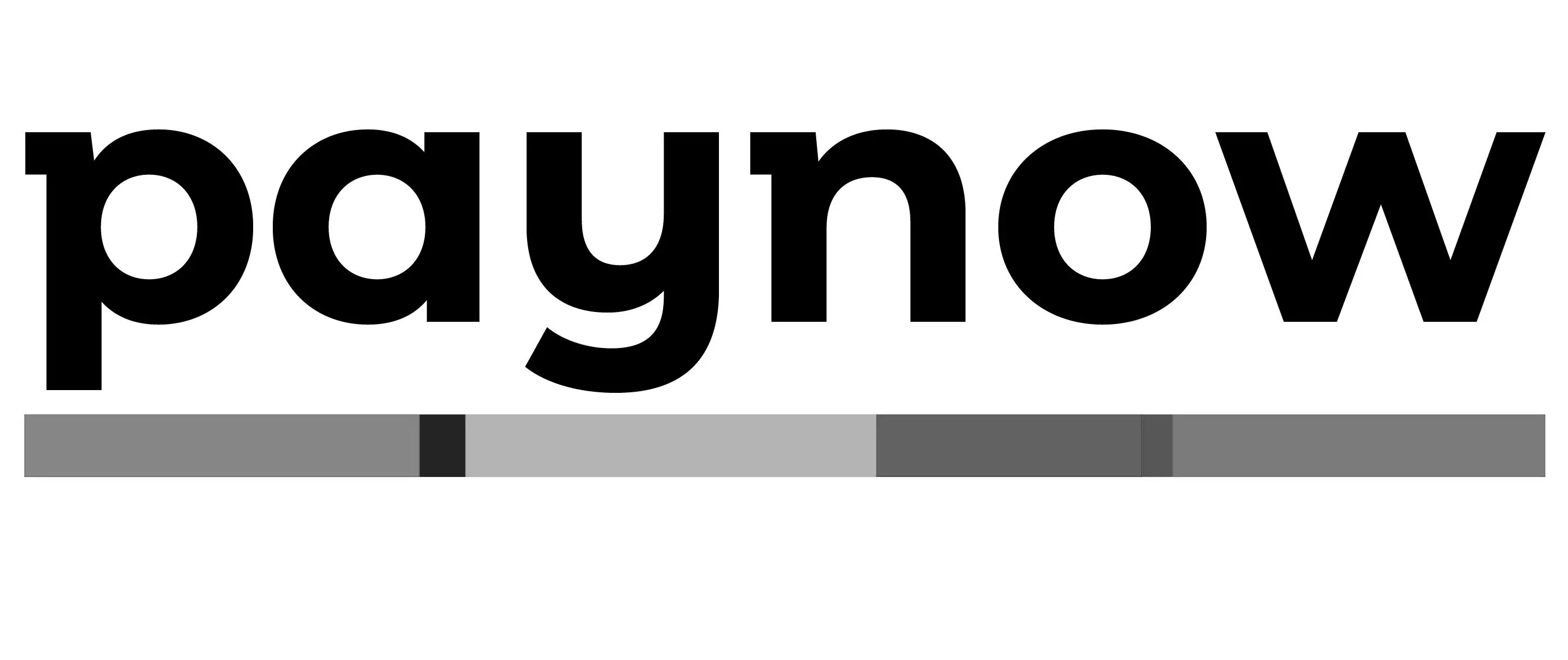 Paynow logo